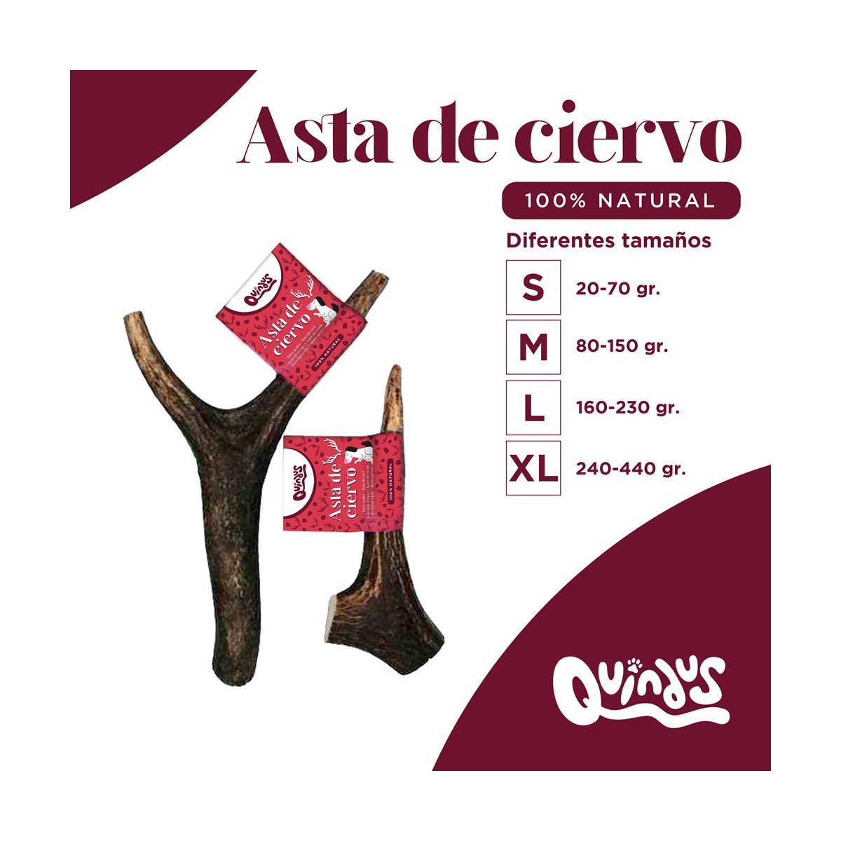 asta-de-ciervo-guia-medidas-2