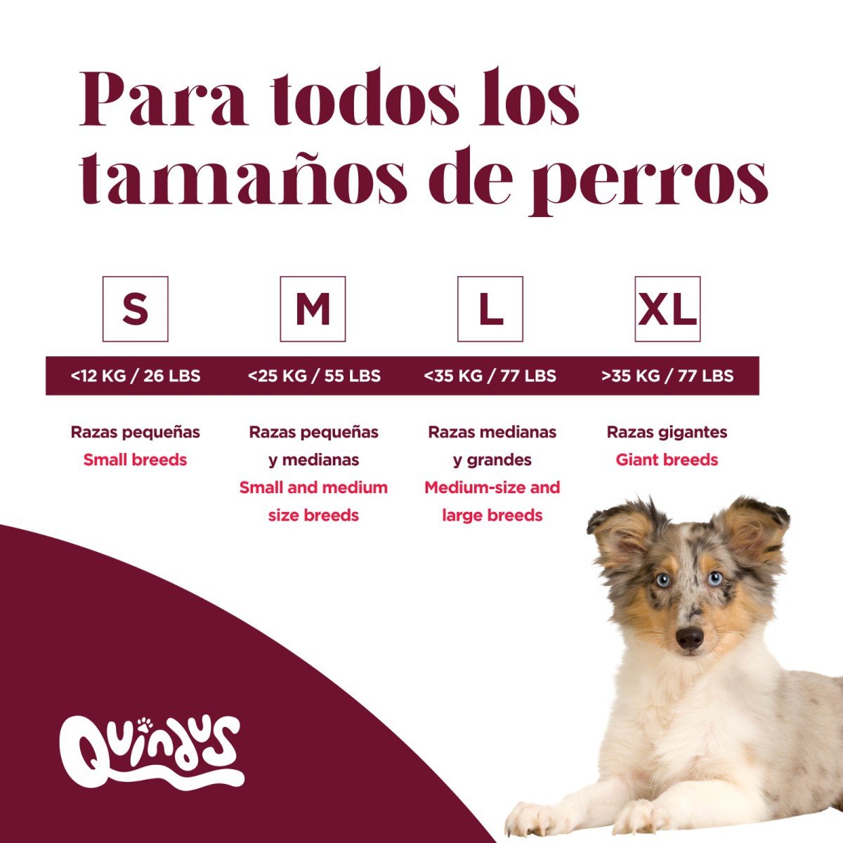 asta-de-ciervo-guia-medidas