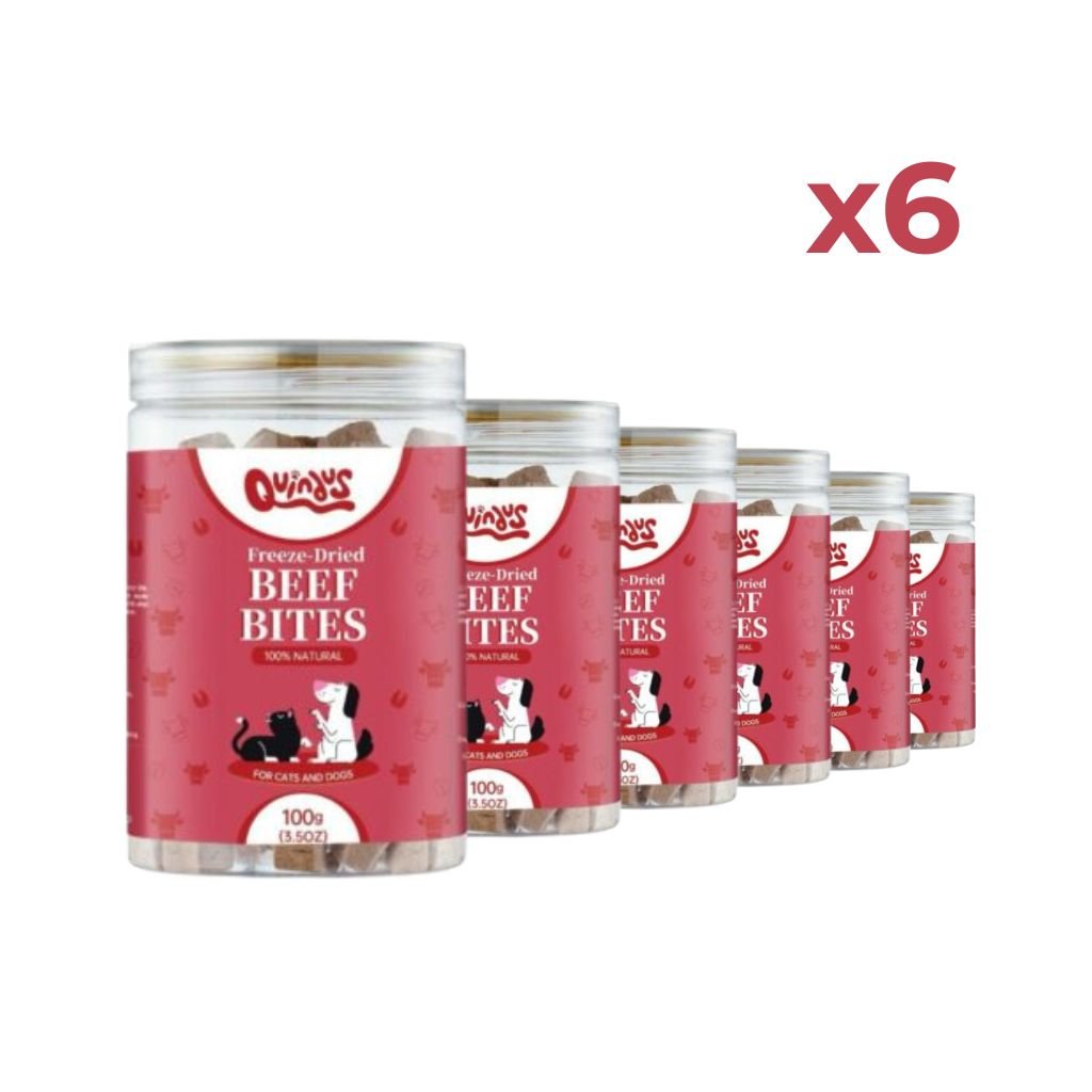 Snack Liofilizado de Ternera para Perros y Gatos - Beef Bites Pack de 6 | Quindus