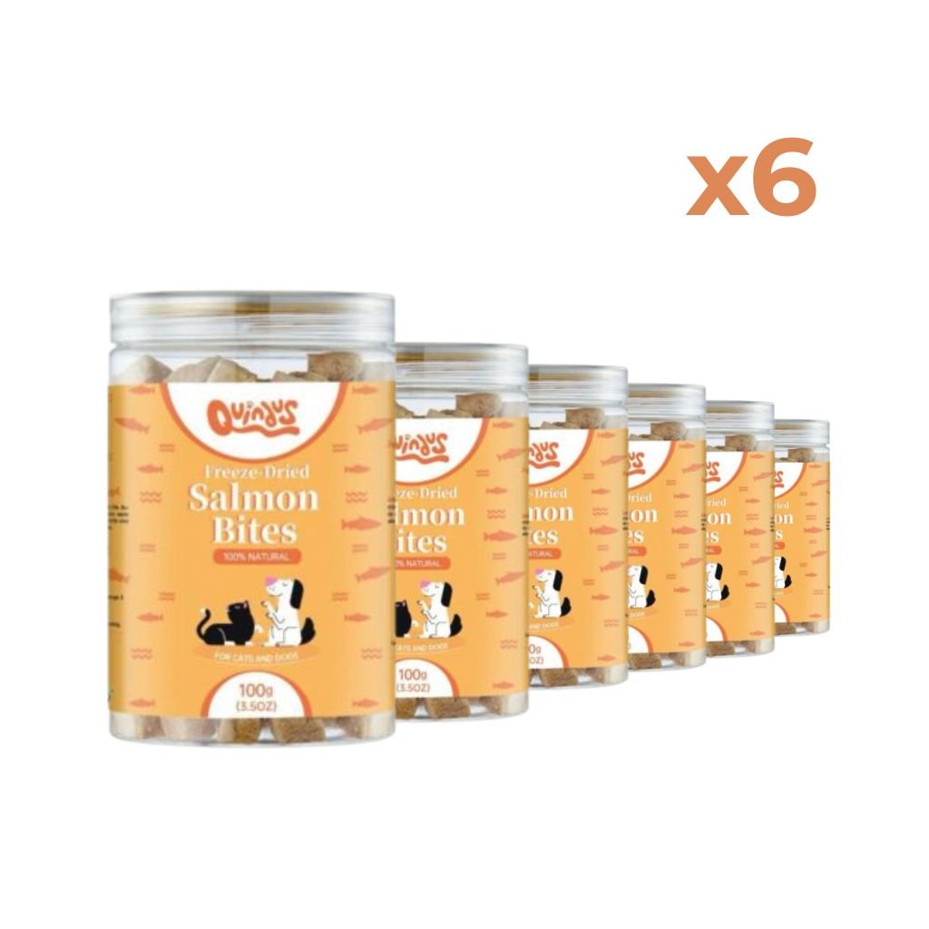 Snack Liofilizado de Salmón para Perros y Gatos - Salmon Bites Pack de 6 | Quindus