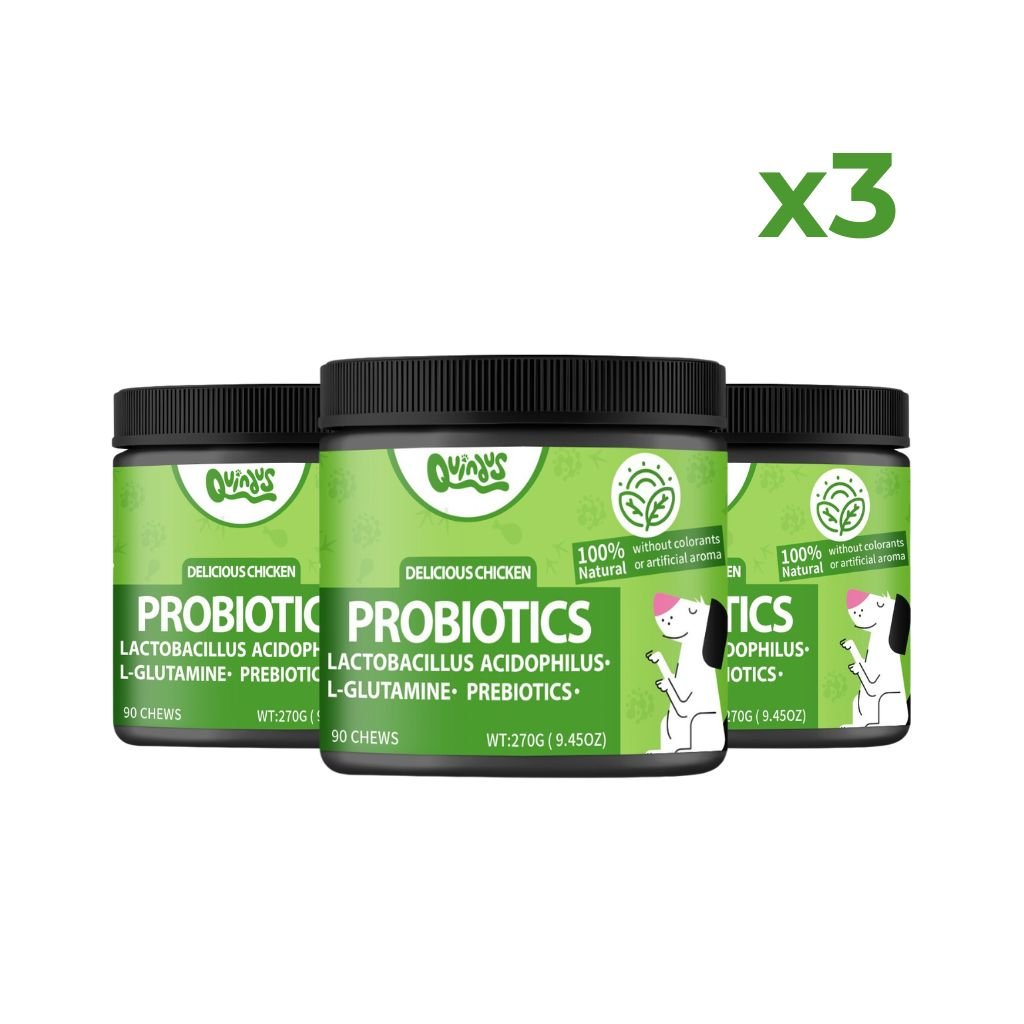 Probióticos Digestivos para Perros · Probiotic Chews con Prebióticos Pack de 3 | Quindus