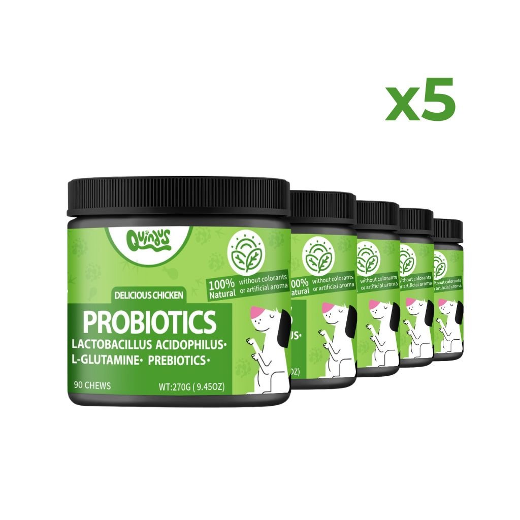 Probióticos para Perros en Masticables - Pack de 5