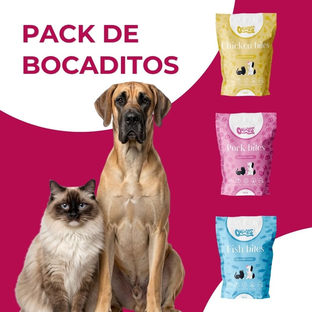 pack de snacks naturales