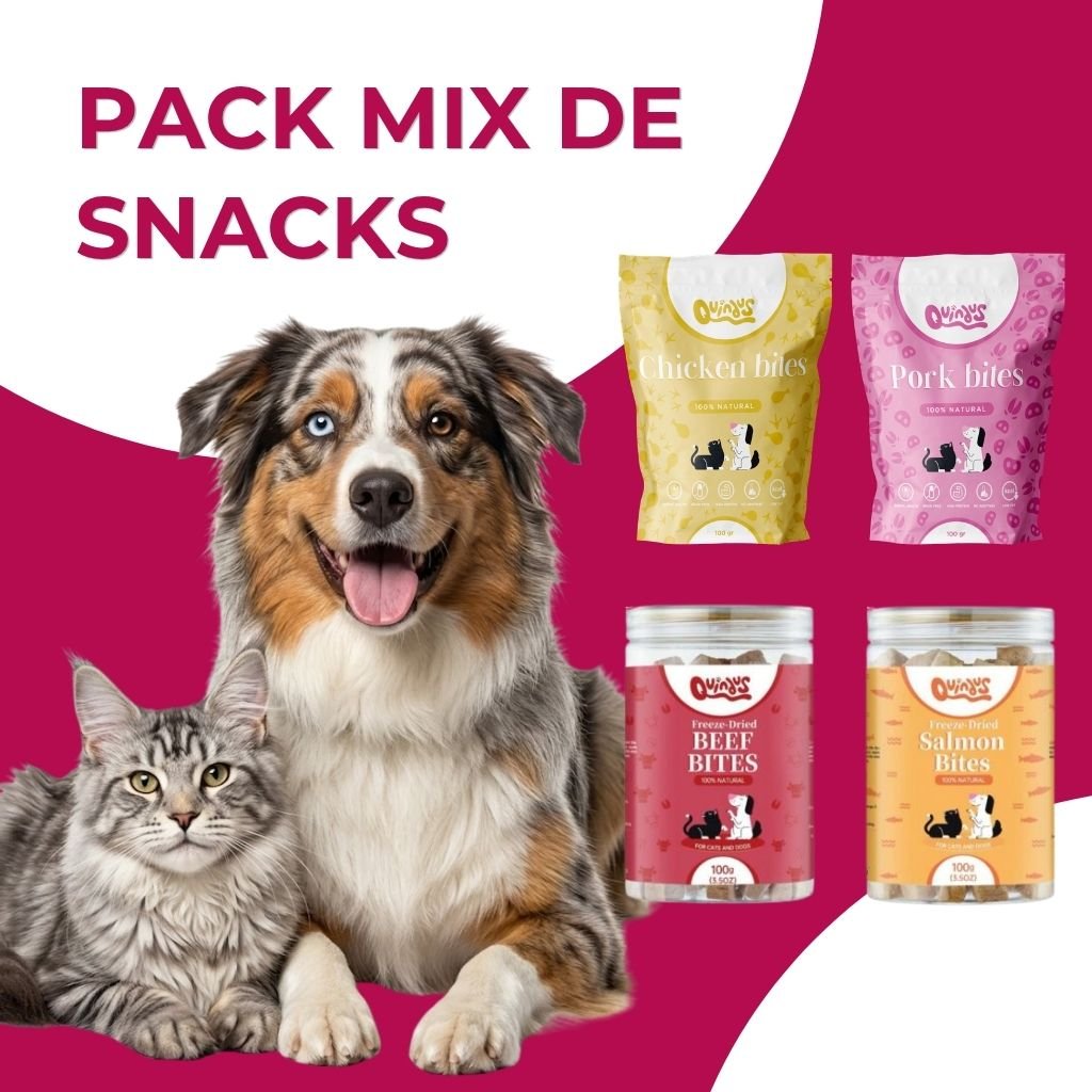 Pack Mix de Snacks